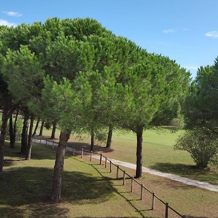 Vert Paradis - Vue Apaisante Sur Golf, Pins Parasols, 2E Etage - 80 M2 Dont Terrasse Avec Pergola, 2 Chambres, 3Et Iles, 3 Clim, Wifi - Piscine, Parking Et Park A Velos, Ascenseur - En Option Linge, Menage - Pistes Cyclables, Mer A Proximite Saint-Cyprien  Exteriör bild