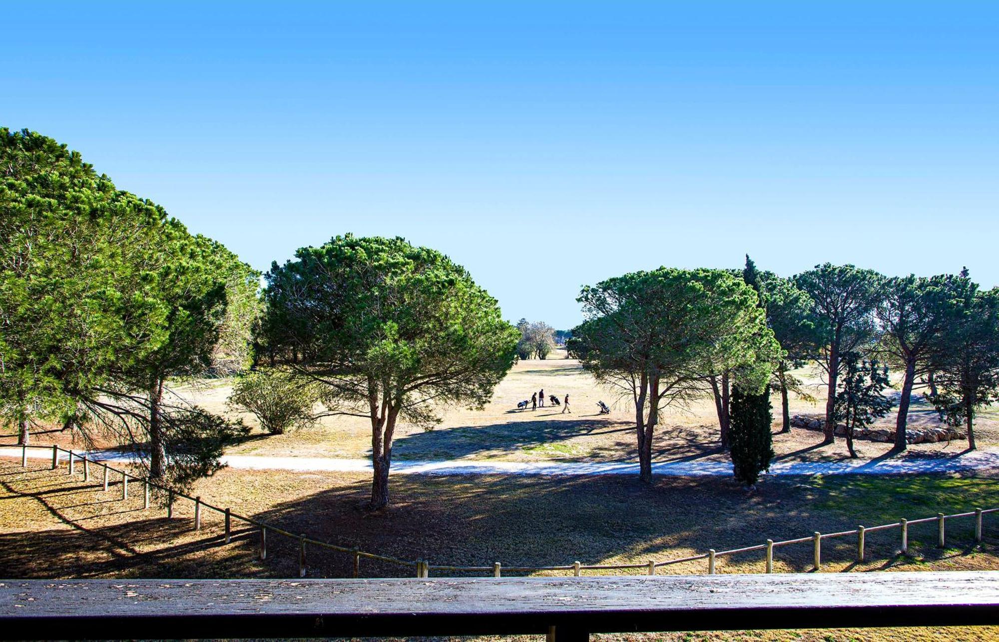 Vert Paradis - Vue Apaisante Sur Golf, Pins Parasols, 2E Etage - 80 M2 Dont Terrasse Avec Pergola, 2 Chambres, 3Et Iles, 3 Clim, Wifi - Piscine, Parking Et Park A Velos, Ascenseur - En Option Linge, Menage - Pistes Cyclables, Mer A Proximite Saint-Cyprien  Exteriör bild